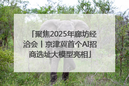 聚焦2025年廊坊经洽会丨京津冀首个AI招商选址大模型亮相