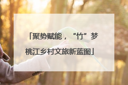 聚势赋能，“竹”梦桃江乡村文旅新蓝图