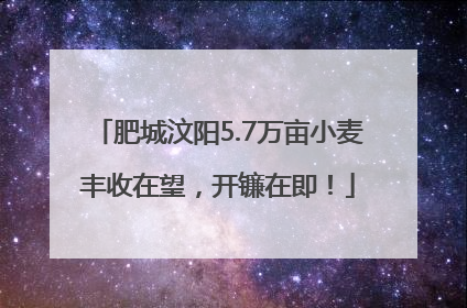 肥城汶阳5.7万亩小麦丰收在望，开镰在即！