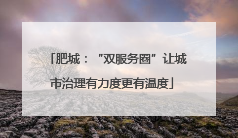 肥城：“双服务圈”让城市治理有力度更有温度