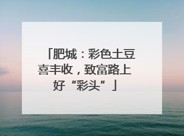 肥城：彩色土豆喜丰收，致富路上好“彩头”