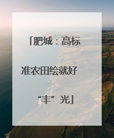 肥城：高标准农田绘就好“丰”光