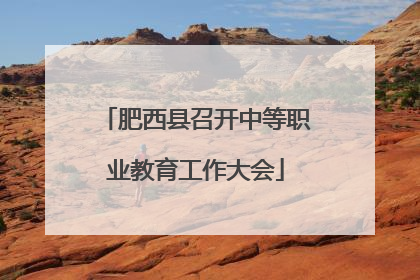 肥西县召开中等职业教育工作大会