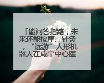 能问答指路，未来还能按摩、针灸，“远游”人形机器人在咸宁中心医院上岗
