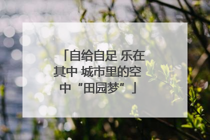 自给自足 乐在其中 城市里的空中“田园梦”