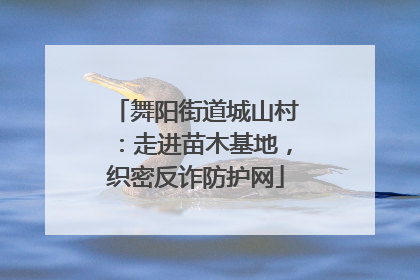 舞阳街道城山村：走进苗木基地，织密反诈防护网