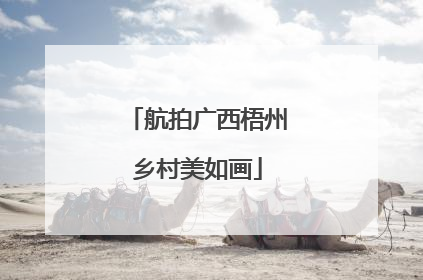 航拍广西梧州乡村美如画
