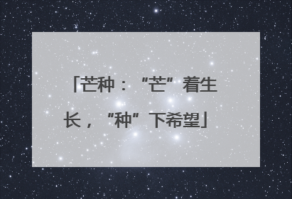 芒种：“芒”着生长，“种”下希望