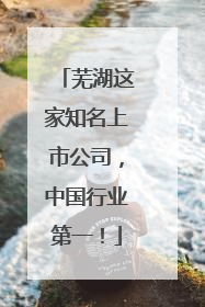 芜湖这家知名上市公司，中国行业第一！