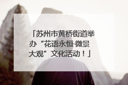 苏州市黄桥街道举办“花语永恒·微景大观”文化活动！