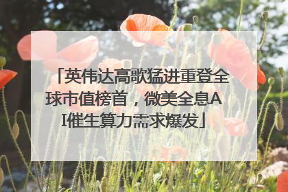 英伟达高歌猛进重登全球市值榜首，微美全息AI催生算力需求爆发