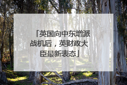 英国向中东增派战机后，英财政大臣最新表态