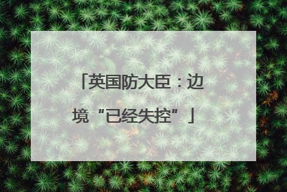 英国防大臣：边境“已经失控”