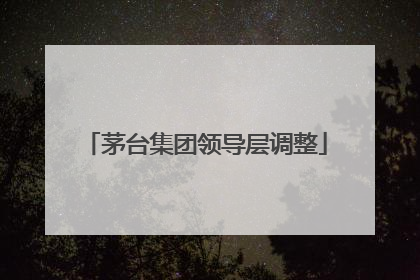 茅台集团领导层调整