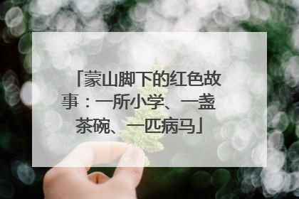 蒙山脚下的红色故事：一所小学、一盏茶碗、一匹病马