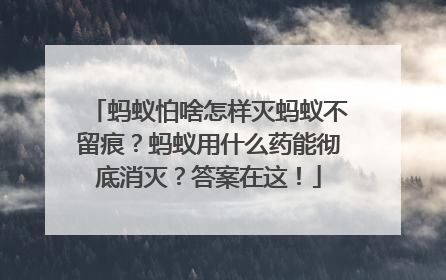 蚂蚁怕啥怎样灭蚂蚁不留痕？蚂蚁用什么药能彻底消灭？答案在这！