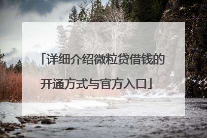 详细介绍微粒贷借钱的开通方式与官方入口