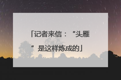 记者来信：“头雁”是这样炼成的