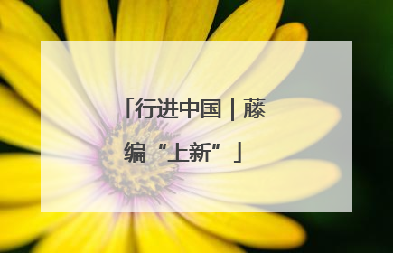 行进中国｜藤编“上新”
