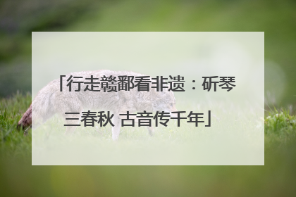 行走赣鄱看非遗：斫琴三春秋 古音传千年