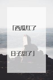 西瓜红了 日子甜了
