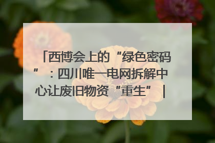 西博会上的“绿色密码”：四川唯一电网拆解中心让废旧物资“重生”｜西博寻“新”记