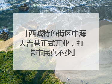 西城特色街区中海大吉巷正式开业，打卡市民真不少