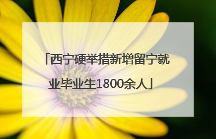 西宁硬举措新增留宁就业毕业生1800余人