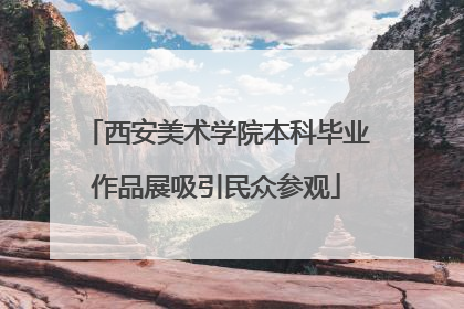西安美术学院本科毕业作品展吸引民众参观