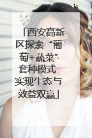西安高新区探索“葡萄+蔬菜”套种模式 实现生态与效益双赢