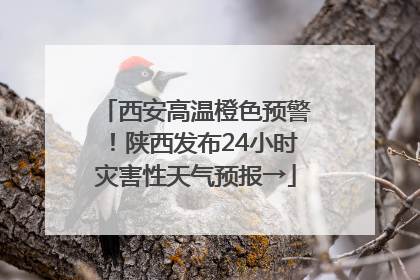 西安高温橙色预警！陕西发布24小时灾害性天气预报→