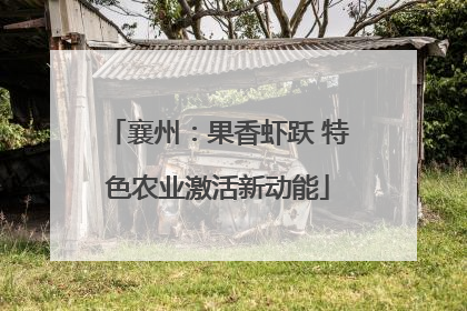 襄州：果香虾跃 特色农业激活新动能