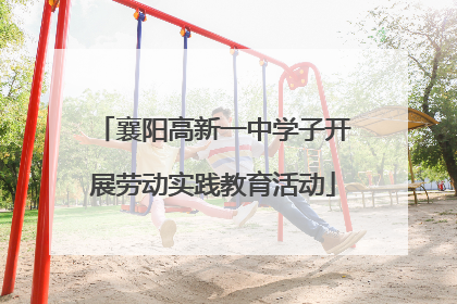 襄阳高新一中学子开展劳动实践教育活动