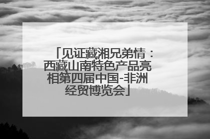 见证藏湘兄弟情：西藏山南特色产品亮相第四届中国-非洲经贸博览会