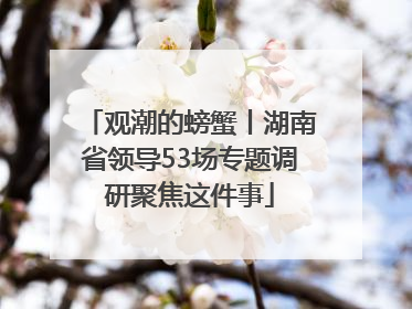 观潮的螃蟹丨湖南省领导53场专题调研聚焦这件事
