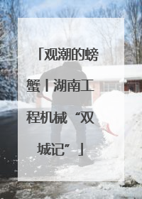 观潮的螃蟹丨湖南工程机械“双城记”