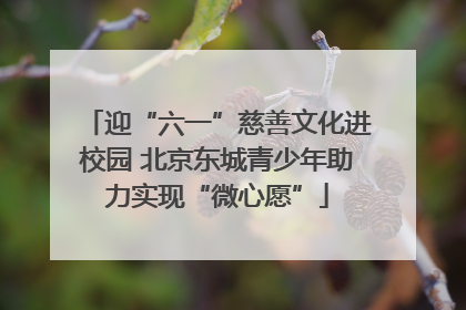迎“六一”慈善文化进校园 北京东城青少年助力实现“微心愿”