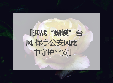 迎战“蝴蝶”台风 保亭公安风雨中守护平安