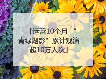 运营10个月 “青绿湖影”累计观演超10万人次