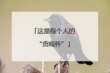 这是每个人的“贡嘎杯”