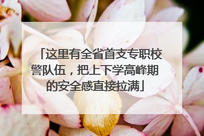 这里有全省首支专职校警队伍，把上下学高峰期的安全感直接拉满