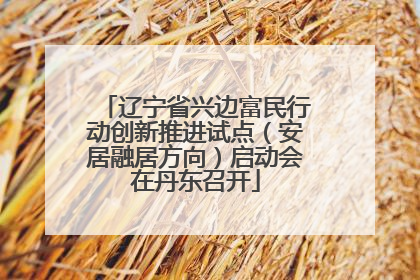 辽宁省兴边富民行动创新推进试点（安居融居方向）启动会在丹东召开