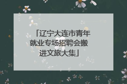 辽宁大连市青年就业专场招聘会搬进文旅大集