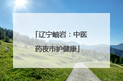 辽宁岫岩：中医药夜市护健康