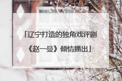 辽宁打造的独角戏评剧《赵一曼》倾情播出