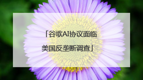 谷歌AI协议面临美国反垄断调查