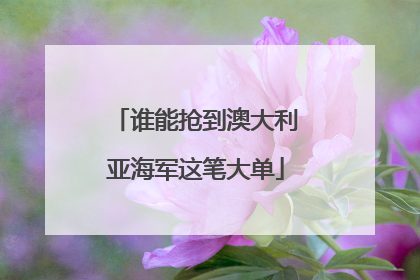 谁能抢到澳大利亚海军这笔大单