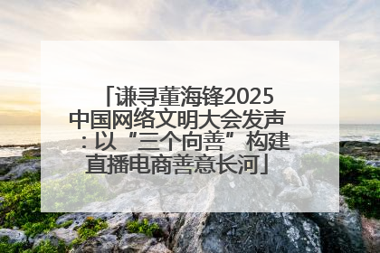 谦寻董海锋2025中国网络文明大会发声：以“三个向善”构建直播电商善意长河