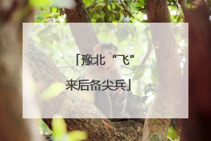 豫北“飞”来后备尖兵