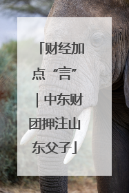 财经加点“言”｜中东财团押注山东父子